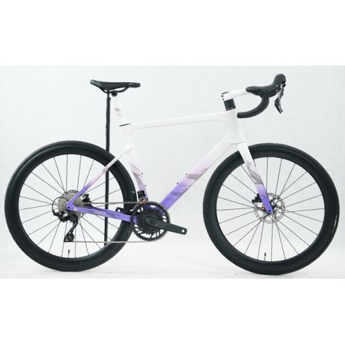 XDS 2025-RS7 105機械件24速 碳輪公路車 